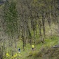 Arnaud Trail du Trévezel