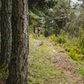 Nelly Trail du Trévezel