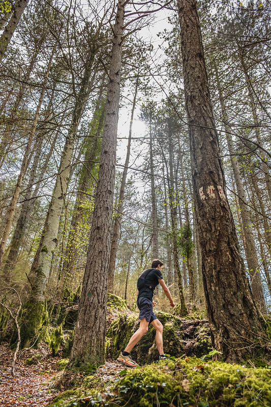 23km trail du trévezel @VirGovignon